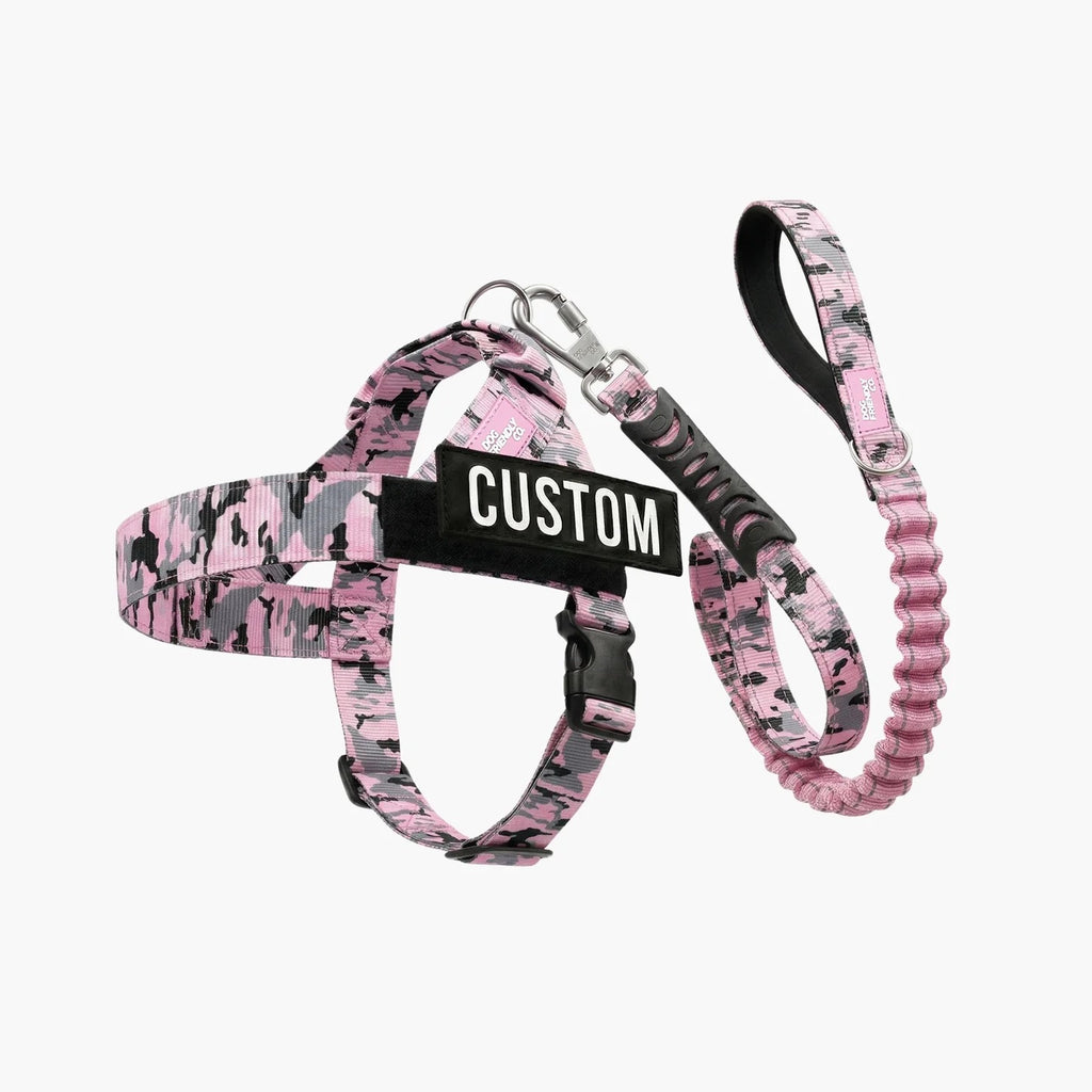THE FRIENDLY DOGS™ Custom Name Leash & Harness - Heavy Duty