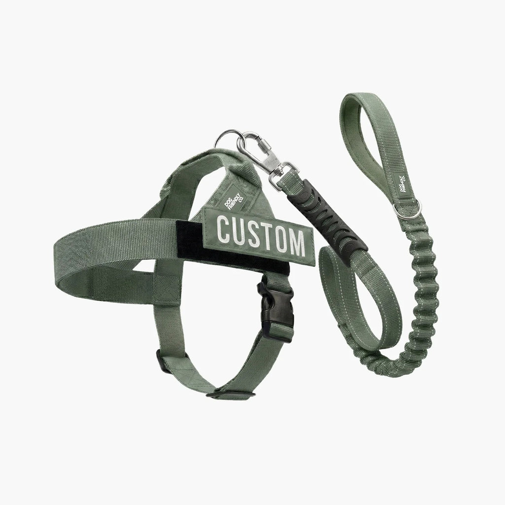 THE FRIENDLY DOGS™ Custom Name Leash & Harness - Heavy Duty