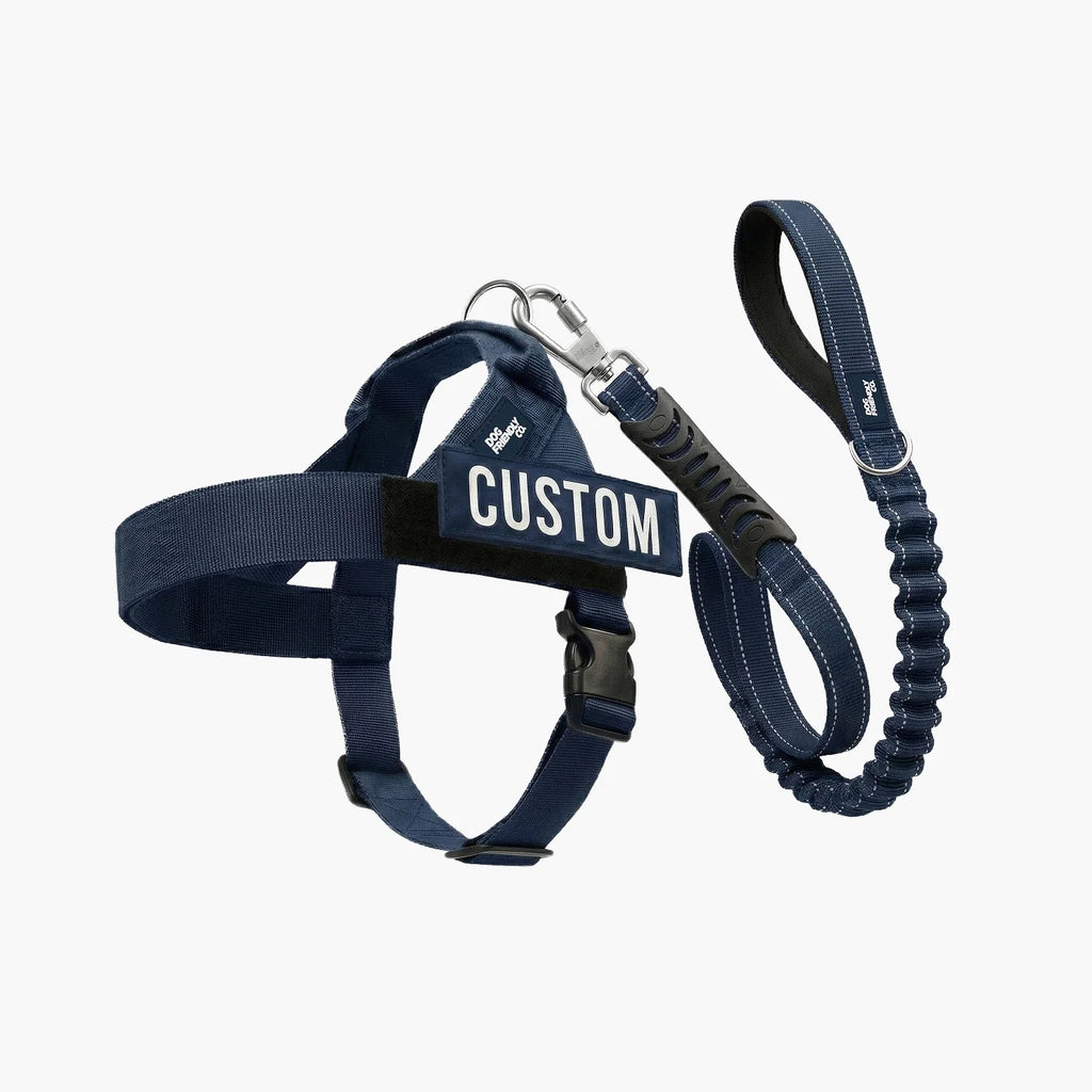 THE FRIENDLY DOGS™ Custom Name Leash & Harness - Heavy Duty