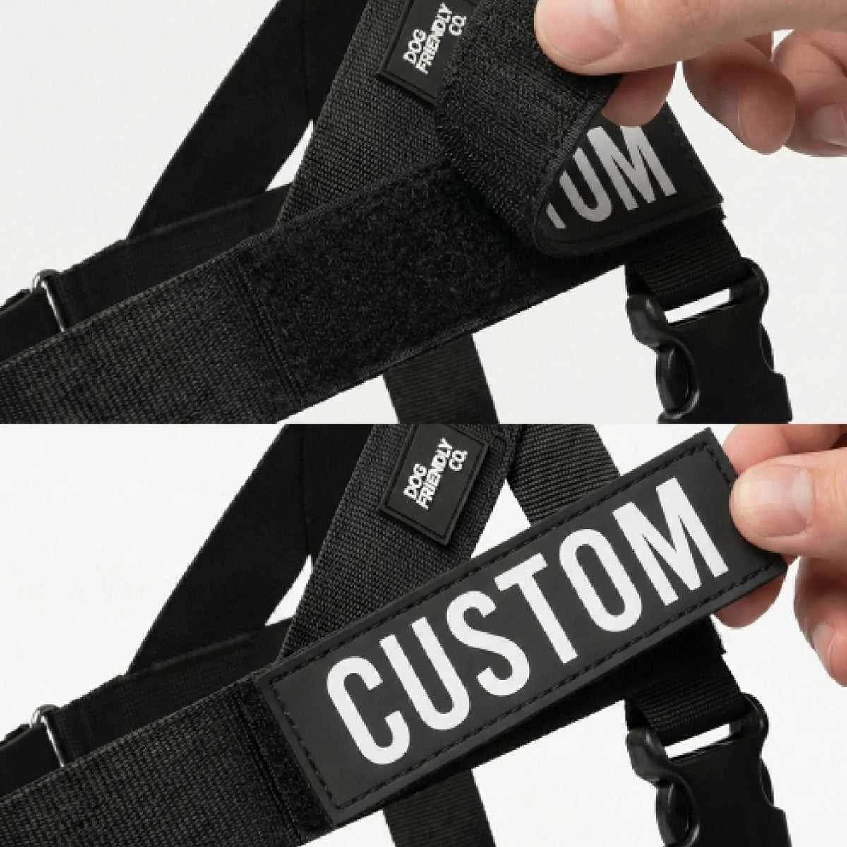 THE FRIENDLY DOGS™ Custom Name Leash & Harness - Heavy Duty
