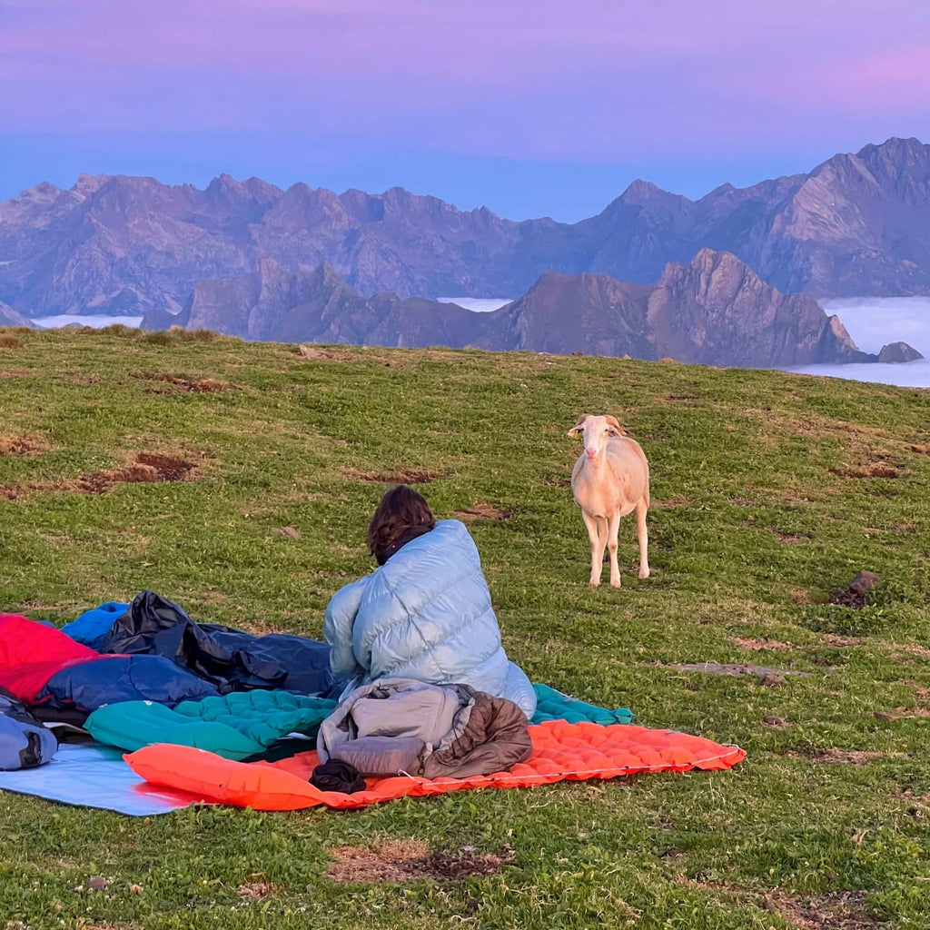CozyCloud™ Multipurpose Inflatable Mattress