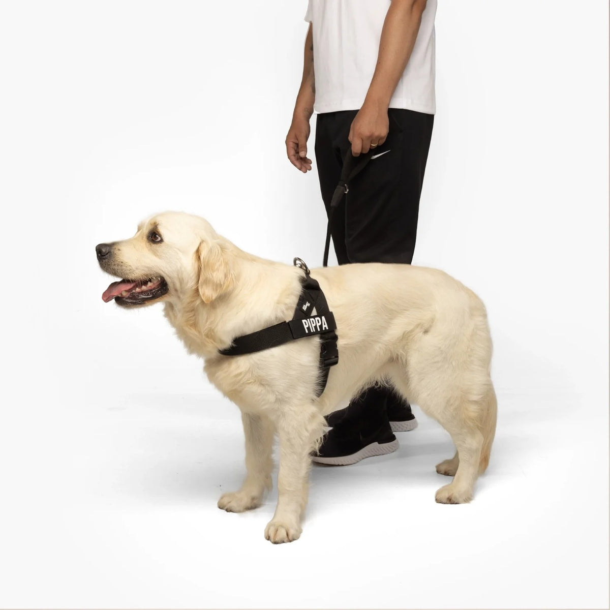 THE FRIENDLY DOGS™ Custom Name Leash & Harness - Heavy Duty