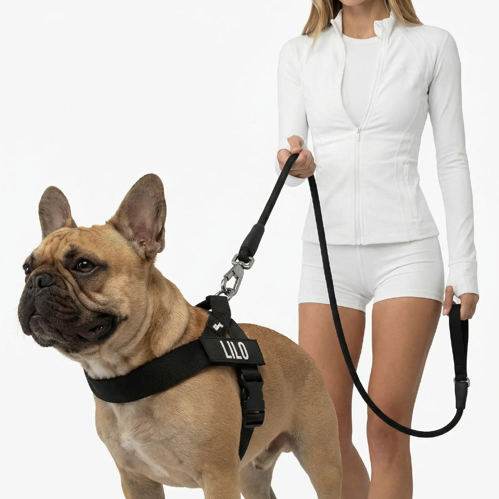 THE FRIENDLY DOGS™ Custom Name Leash & Harness - Heavy Duty