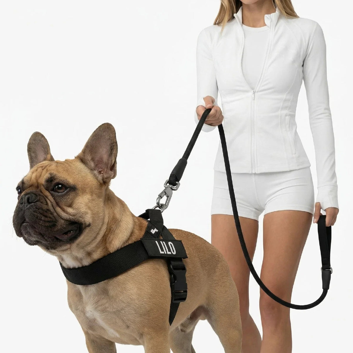 THE FRIENDLY DOGS™ Custom Name Leash & Harness - Heavy Duty