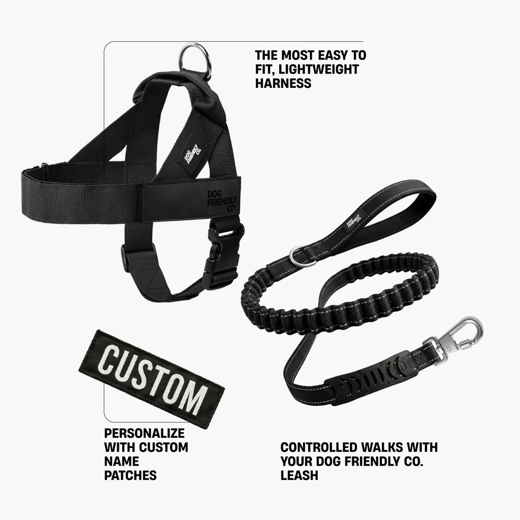 THE FRIENDLY DOGS™ Custom Name Leash & Harness - Heavy Duty