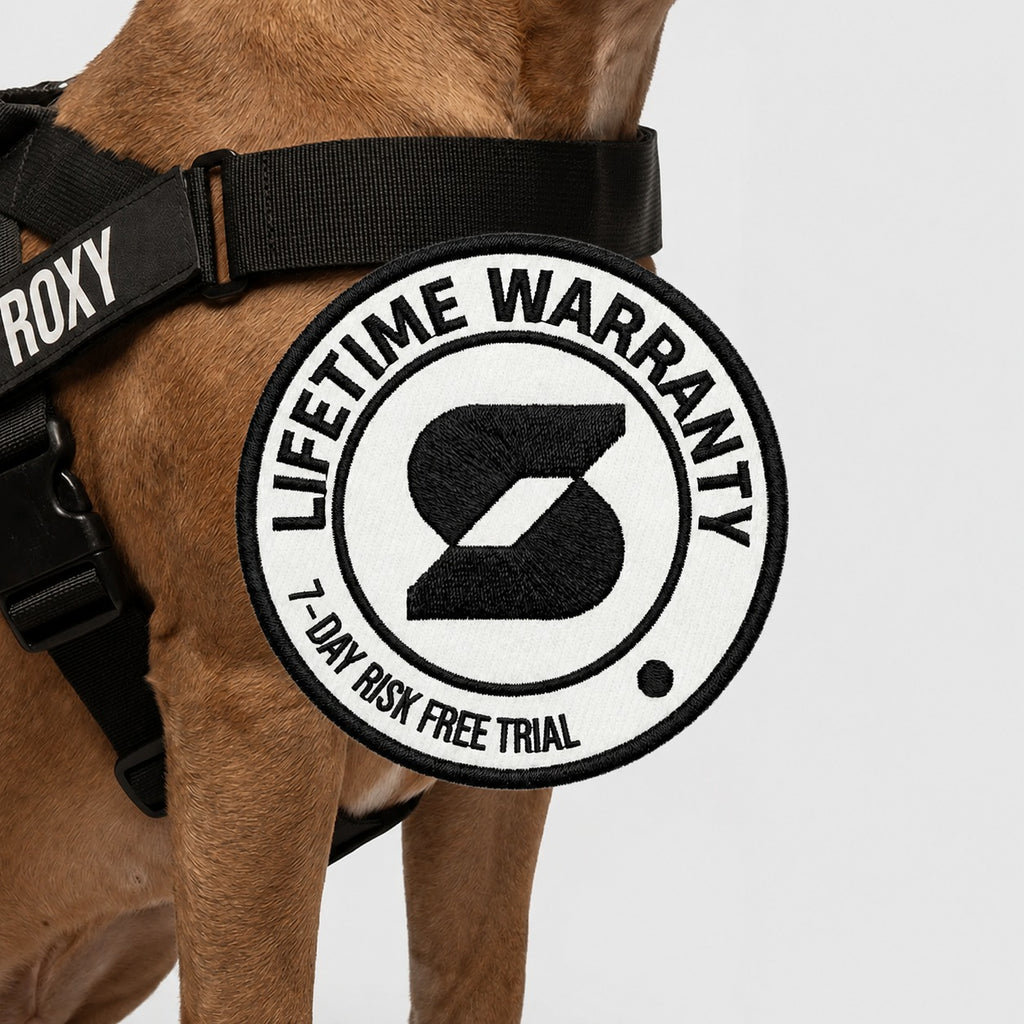 THE FRIENDLY DOGS™ Custom Name Leash & Harness - Heavy Duty