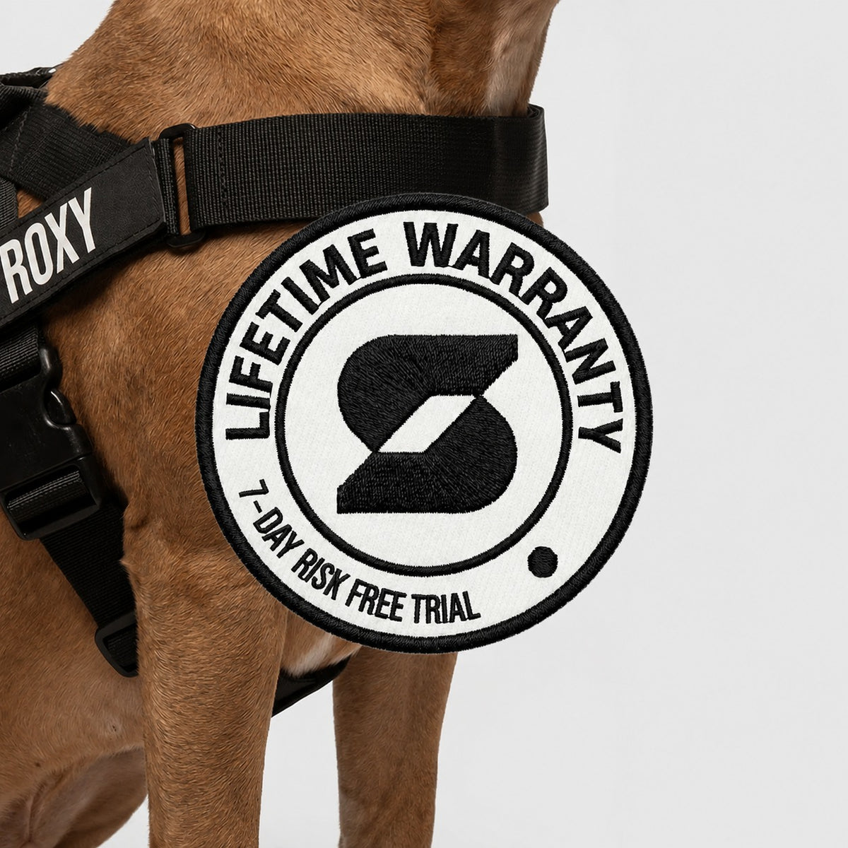 THE FRIENDLY DOGS™ Custom Name Leash & Harness - Heavy Duty