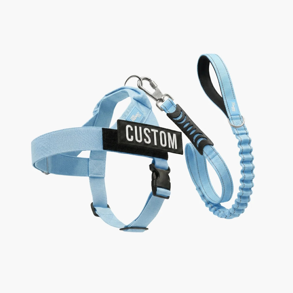 THE FRIENDLY DOGS™ Custom Name Leash & Harness - Heavy Duty